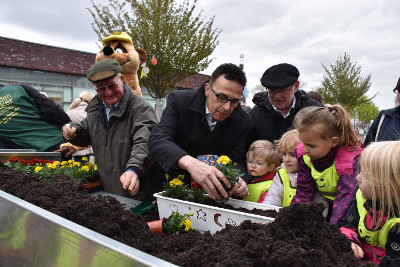 Bürgermeister pflanzt Blumen