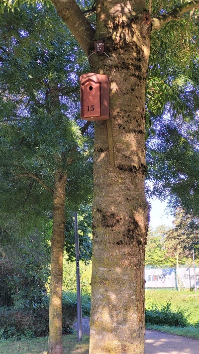 Wandelweg